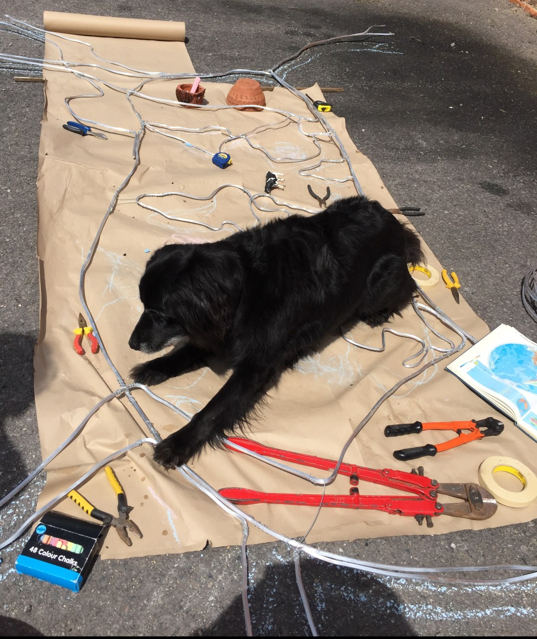 Artist's Dog supervises